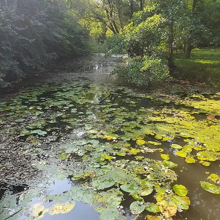 Cosy Satie Au Moulin D'agy شقة